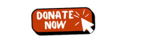 Donation Button
